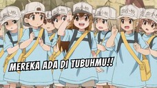 Setelah Nonton Ini Langsung Sayang Sama Tubuh Sendiri
