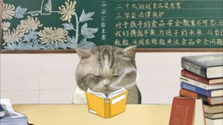 Mental state at school