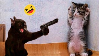 Try Not To Laugh Dogs And Cats 😁 - Best Funniest Animals Video 2023