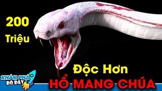 7 Động Vật Đột Biến Kỳ Lạ và Bí Ẩn Nhất...Các Nhà Khoa Học Cũng Chưa Thể Lý Giải | Khám Phá Đó Đây