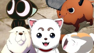 cat pie! Dog Pie! Cute cats and dogs in anime!