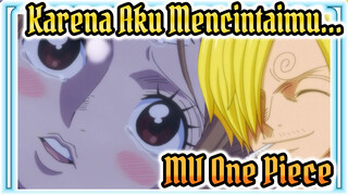 Tidak Peduli Jika Kamu Tidak Mengingatnya, Karena Aku Mencintaimu | MV One Piece