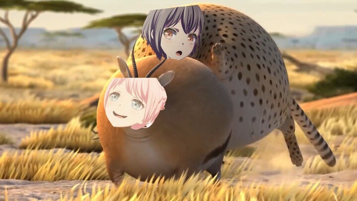 🐧เติ้งไล่ตามอ้ายหยินและถูกซูชิค้นพบ🐧