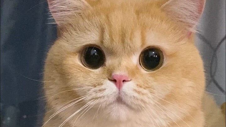 My mom earns 3,500 a month, but I spend 4,500.