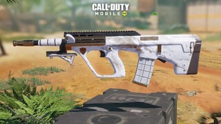 THIS "AGR 556" SKIN HAS NO IRON SIGHTS