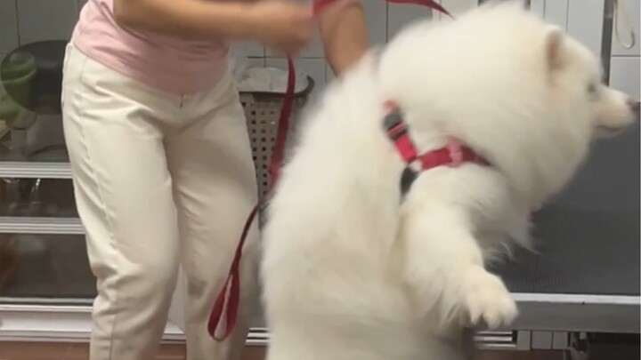 救命 真的可爱极了