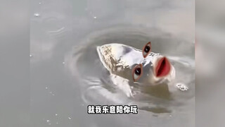 Tôi rất vui khi được chơi cùng bạn.