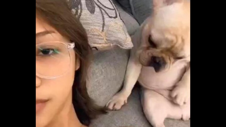 Jadi anjing nggak boleh terlalu normal, yang aneh-aneh justru lucu!