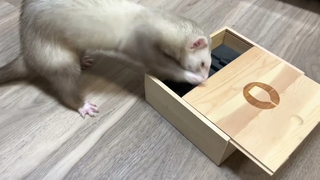 Ferret และที่เปิดไวน์ อบเชย