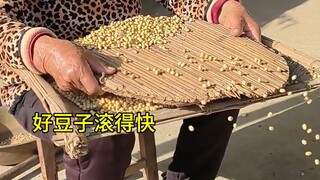 “ 论劳动人民的智慧 ”