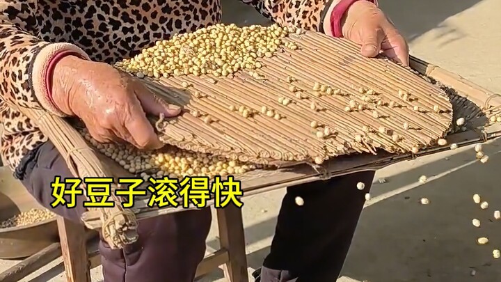 "Về trí tuệ của người lao động"