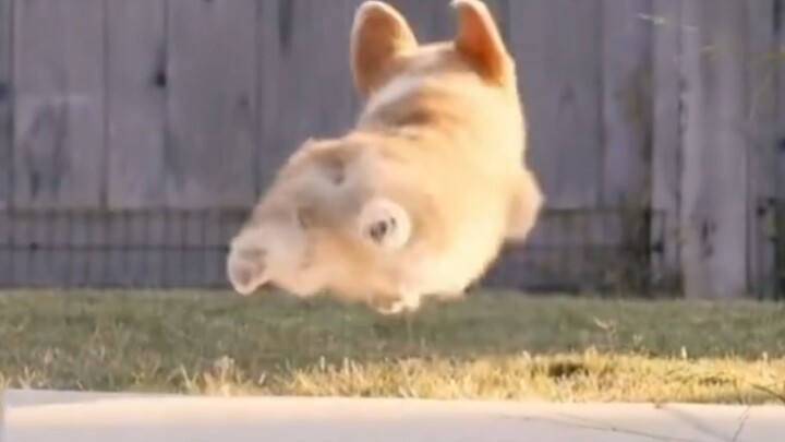 "This... this is just too cute!!"