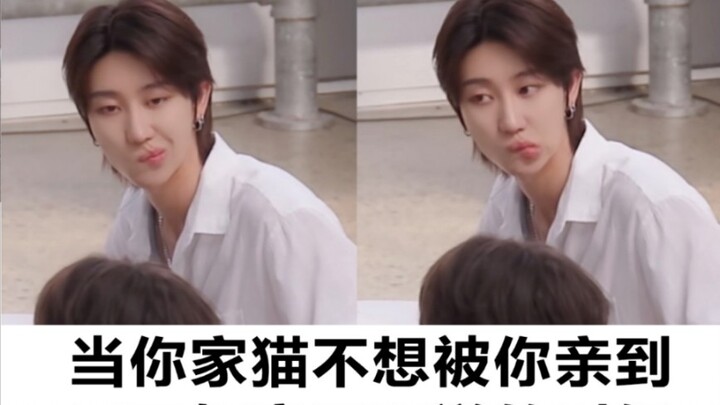 [semua delapan] Xiao Hao: Harus ngapain nih 🍀꒦ິ^꒦ິ🍀 2gg: Cukup manjain aja, itu pasti berhasil!