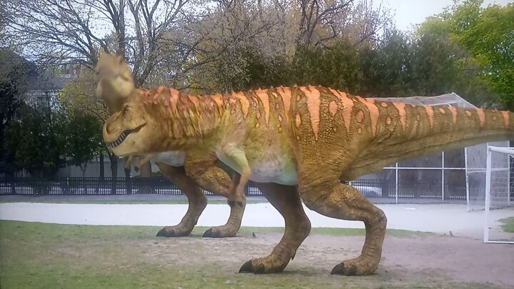Dinodan terk survival of the biggest episode hd  1