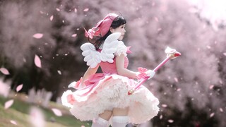 Cardinal Sakura op1[Original Choreography]Catch You Catch Me [Meow Jam]