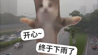 Ban đầu, các bạn mèo nghĩ đây chỉ là một cơn mưa bình thường.