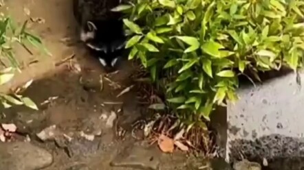 We're all working hard to pay off our mortgage, haha!