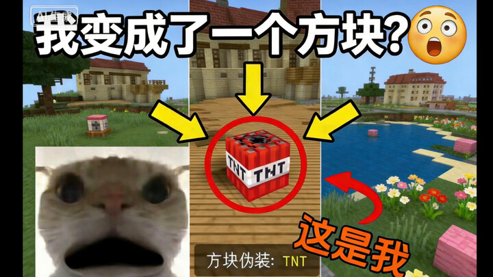 Khi tôi bất ngờ biến thành một khối vuông? Liệu còn có ai phát hiện ra tôi không?