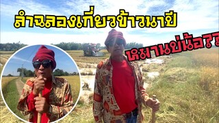 ลำฉลองเกี่ยวข้าวนาปี