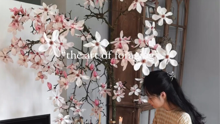 زهرة الماغنوليا