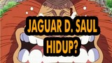 Jaguar d saul
