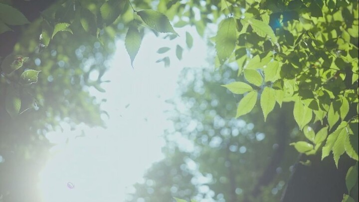 Our Beloved Summer Episode 1 English subtitle