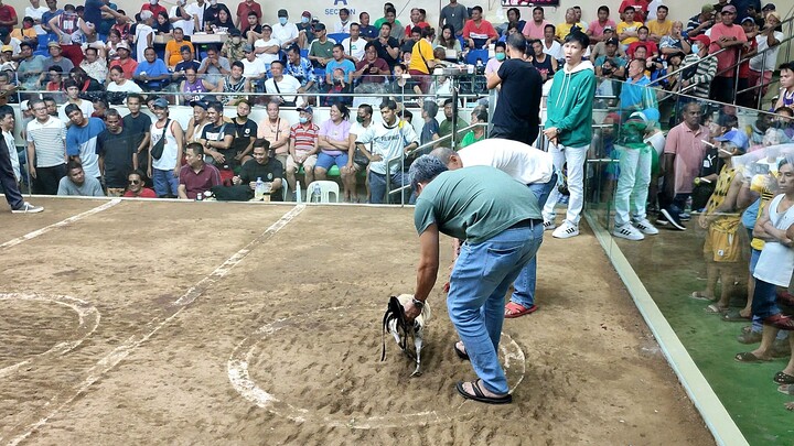 canaway at san Juan coliseum