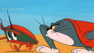 Tom cos con gián lớn miền Nam