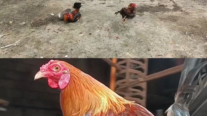 muntik na maging kwento