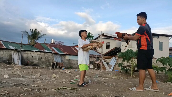 ponkan sweater vs white dom