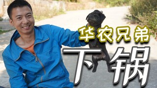 【华农兄弟】下锅（下山）