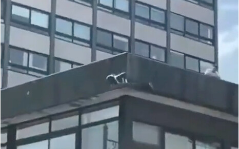 إحناك جارك لاه وان بيتطلّب مهارات.. هل حتى الجيران الأميركيين متلهّفين هيك؟