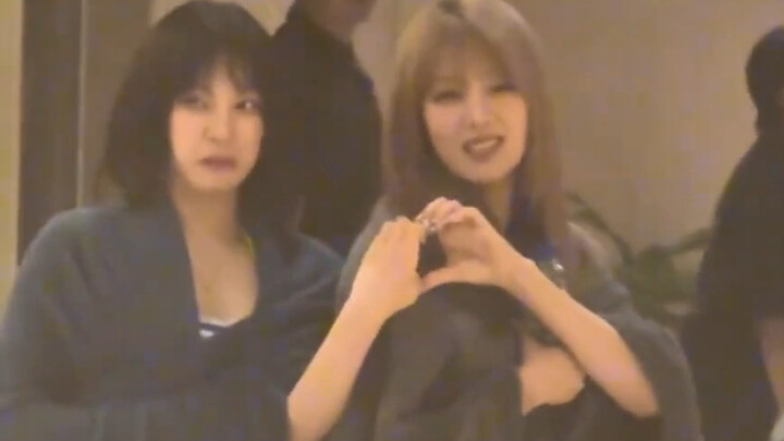 Miki chê bai biểu cảm trái tim lên sóng, tổ hợp chó hình lập phương phòng xông hơi, 240727 buổi ký t