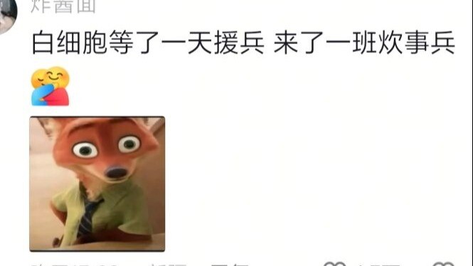 Sel darah putih menunggu bala bantuan seharian, yang datang malah satu regu prajurit dapur.