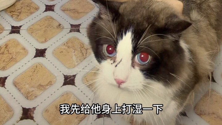 ลิโป้เครียดจนไม่กล้าอาบน้ำ?! คำชี้แจงข่าวเท็จ
