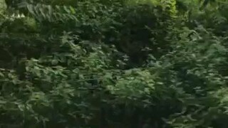 bonding Muna bago sabak sa thesis ♥️