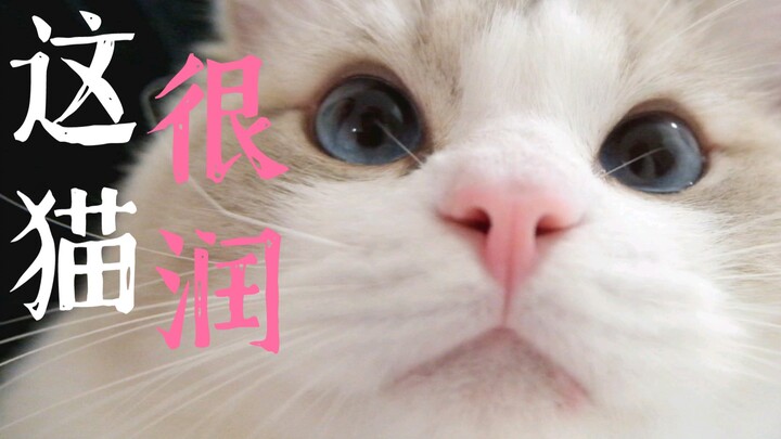 "Looks Bomb Syndrome"