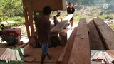 Penggergajian serkel kayu balok terbesar meranti kering kualitas terbaik bos alfira