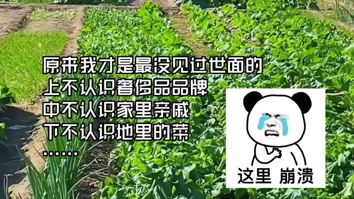 รู้ตัวเมื่อไหร่ว่าตัวเองไม่เคยเจอโลกกว้าง #คำถามที่สะกิดใจ #สงสัยชีวิต #ไม่เคยเจอโลกกว้าง #ยอมรับควา