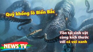 "Quỷ khổng lồ Biển Bắc": Sinh vật có cùng kích thước với cá voi xanh thực sự tồn tại?