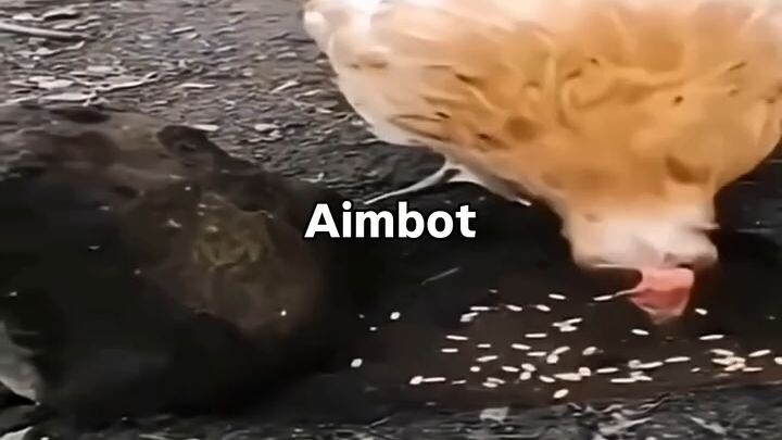 AIM BOT PRO :