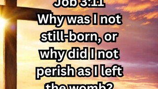 Daily Reflection May 16, 2025 #faith #bible #reflection