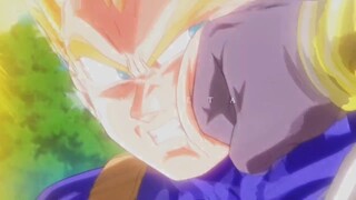 "Proud Vegeta"