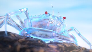 Animasi C4D asli pribadi丨Melihat ke laut