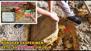 EKSPERIMEN: Selama 1 Tahun, SEMUA ROTI INI DIKUBUR DALAM COR SEMEN