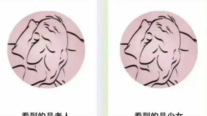 Hilarious meme compilation that only true masters can fully understand
