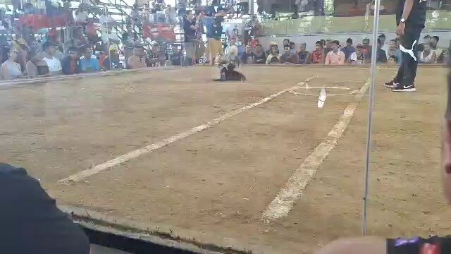 angono cockpit arena 1st fight niya wlang sugat laki diperensiya sa machine..