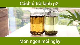 Cách ủ trà lạnh p2