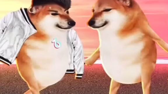 cheem dưới đáy xã hội