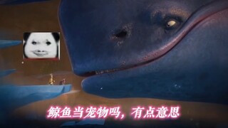 鲸鱼：我从小鱼苗开始被你养，你孙子还不信我